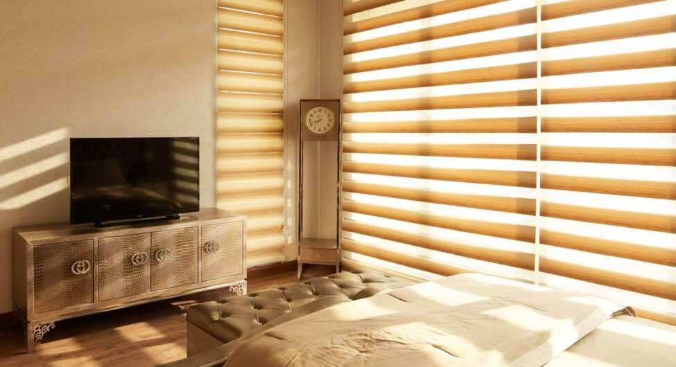 WhatsApp Image 2023-07-18 at 5.58.14 AM