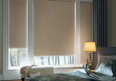 WhatsApp Image 2023-07-18 at 7.06.43 AM