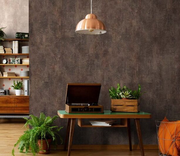 WhatsApp Image 2023-07-24 at 3.55.53 PM