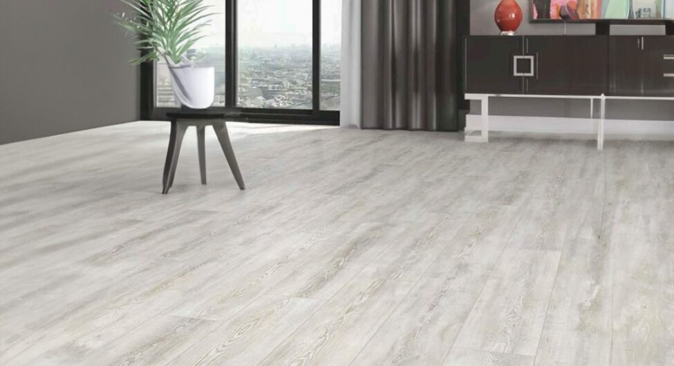 WhatsApp Image 2023-08-10 at 11.23.53 AM