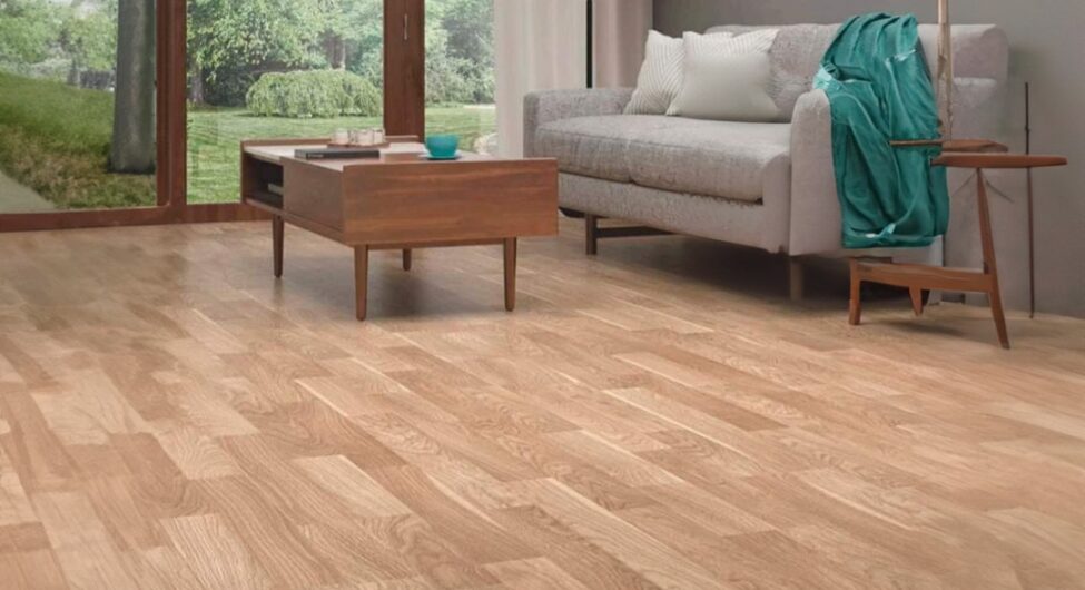 WhatsApp Image 2023-08-10 at 11.23.59 AM